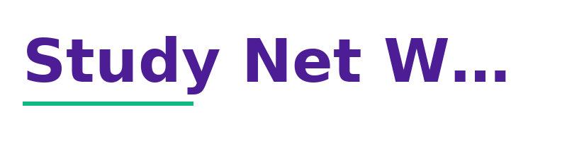 Study Net Work Logo